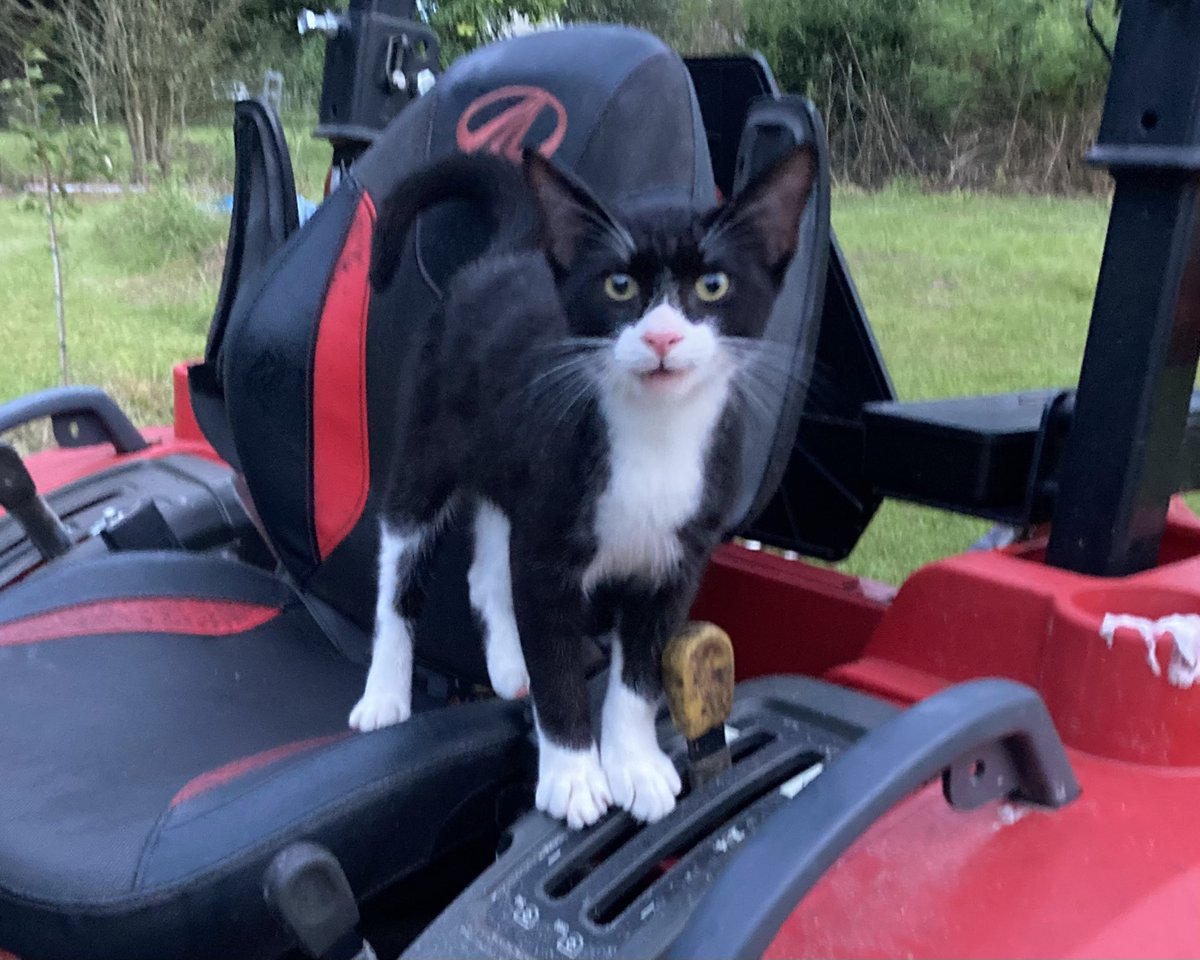 Kevin Folta tweet media