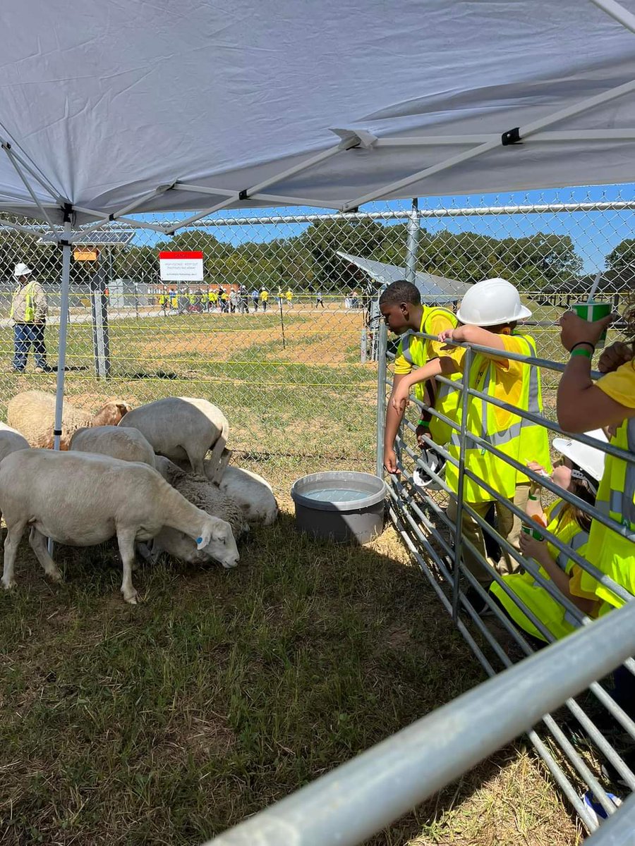 DrCathrynStout's tweet photo. 5th graders at @GrahamwoodEL extended learning beyond the  classroom by participating in the Flip the Switch on Solar Power 💡 event at the Silicon Ranch in Jackson! Thanks to @LZapataTN  and @clearloopUS, our students will not only have a brighter future but a greener one too ♻️ https://t.co/xG9XDllkRf