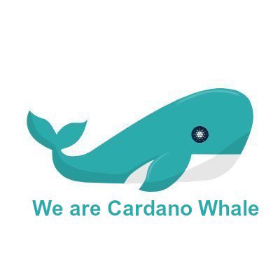 DAO_StakePool's tweet photo. We are all Cardano Whale

#Cardano #ADA https://t.co/S09yzvJfjH