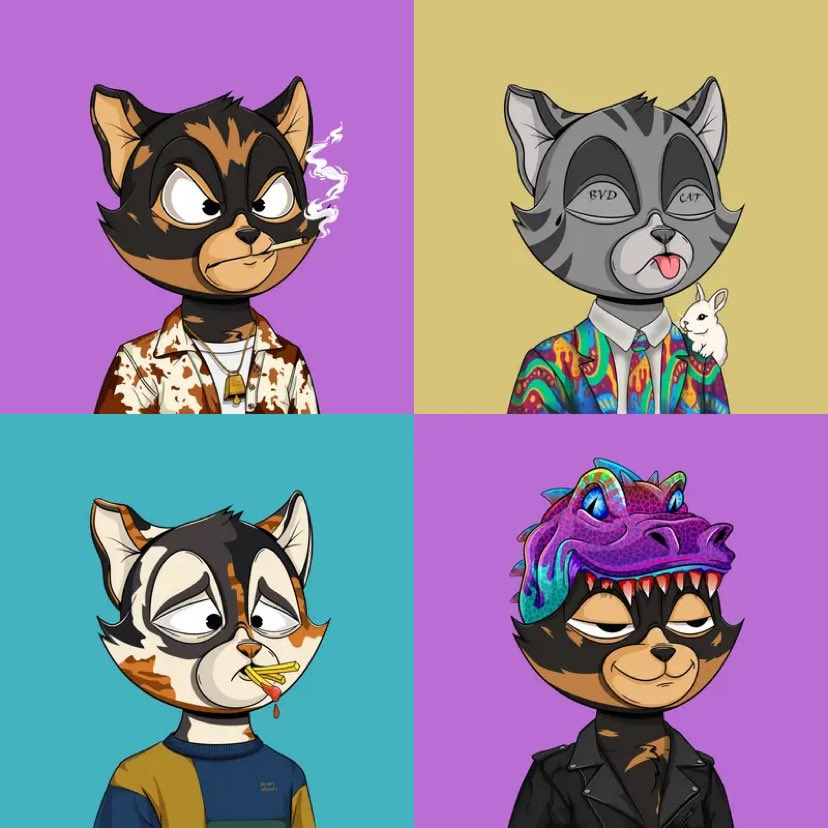 Giving away 4x BDVCAT NFTs 😸

Floor price is 7.5 $SOL 🎁

To enter just follow &amp; RT ~ 24 hrs ⏰