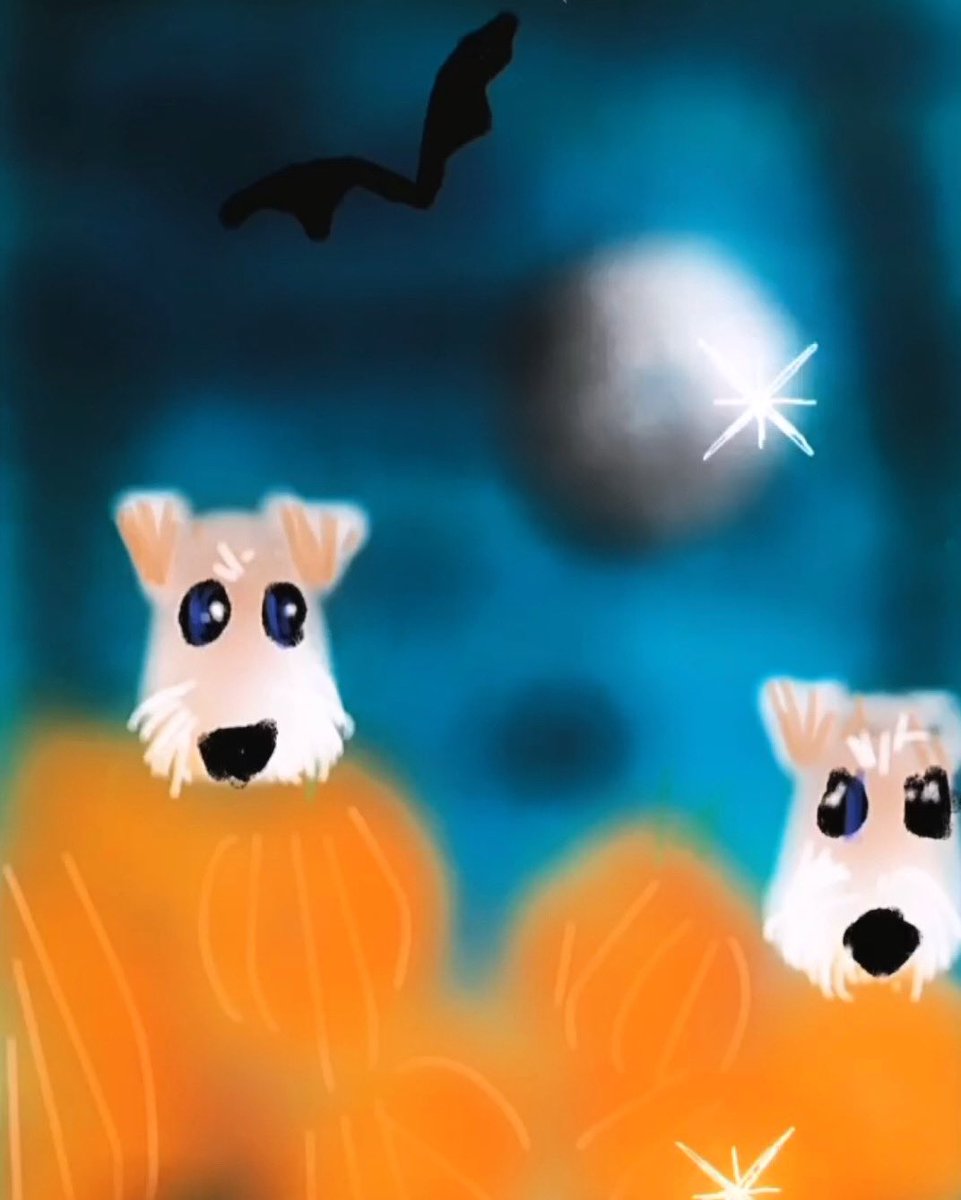 BonnieandLana's tweet photo. Aspettando #Halloween2022 Grazie Hector Haz e mamma Natalie per questo bel disegno! ๐คฃ๐พ๐ป๐๐ธ๐ฆ๐ท #waitingforhalloween #halloweeniscoming #spooktaculartime #wirefoxterriers https://t.co/X8gZ5TQbvP