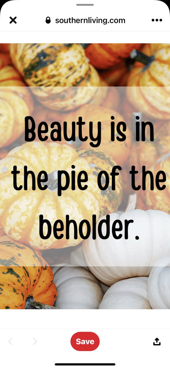 TKurrass's tweet image. ⁦@ThePuntiff⁩ ⁦@SrTeresam⁩ I’m sorry but I saw this and I had to share.  Lol #fallpuns