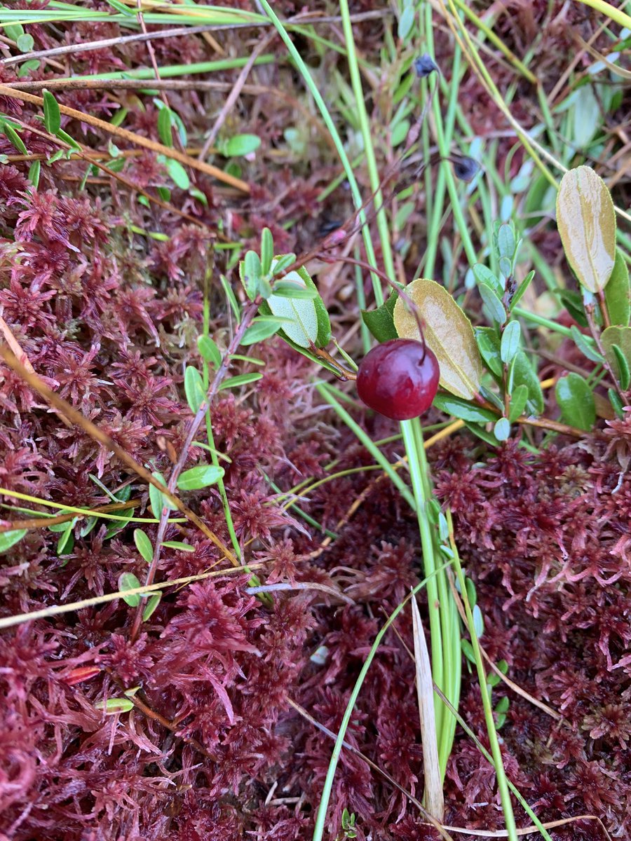 Danny Szydlowski tweet media