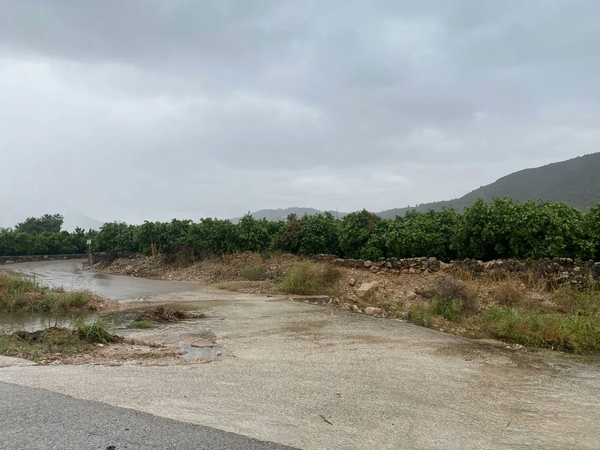 ajupego's tweet photo. Segueix plovent al nostre poble. Ho fa amb intensitat, de fet encapçalem la llista de precipitacions a la comunitat i a tot l'estat.

Demanem a la ciutadania que extreme la precaució durant aquesta nit, ja que tenim alerta roja fins les 6 de la matinada. https://t.co/Fyb64oXeg6