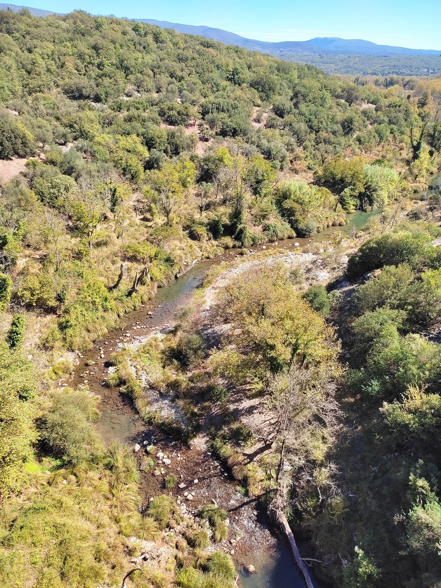 hermahai's tweet photo. [SOMETHING DIFFERENT]
1/ Today, we carried out a family Sunday excursion to mountainous Arcadia, the land of the gods, nymphs and legends, of the crystal springs and rashing valleys, of the rich flora and fauna, of the mystery and spirituality.  
#arcadia #Lousios #Alpheios https://t.co/qR8yYGqc5P