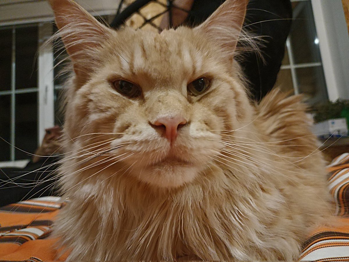 Прекрасные выходные 💜
Спасибо, ребята, за это тепло.