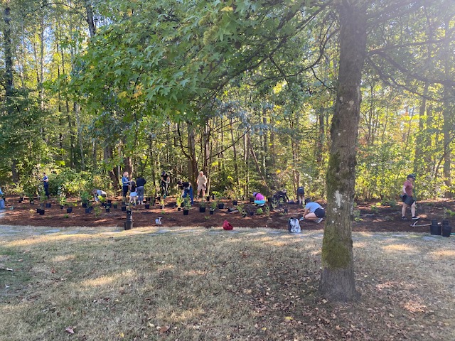 The North Shore Black Bear Society had the opportunity to talk with residents at Mosquito Creek today to Celebrate Rivers Day. Many volunteers planted 650 native plants today and others removed invasive plants.
