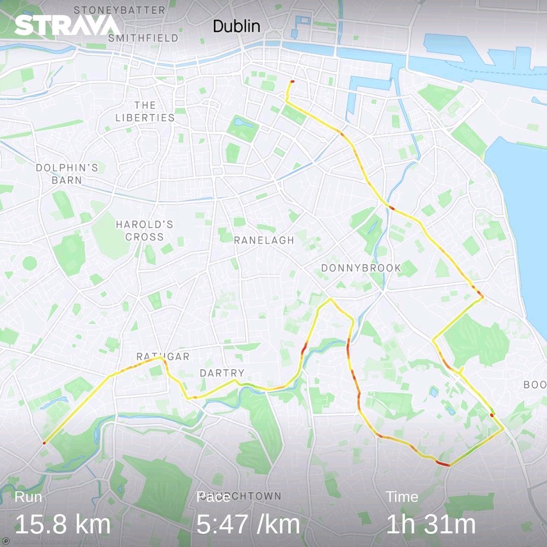 As a newbie in the city, went exploring the last kms of the <a href="/dublinmarathon/">Irish Life Dublin Marathon</a> today. Found many surprises and excitement! 😼💭🏅🏰🇮🇪 strava.app.link/u9pyrWDrCtb