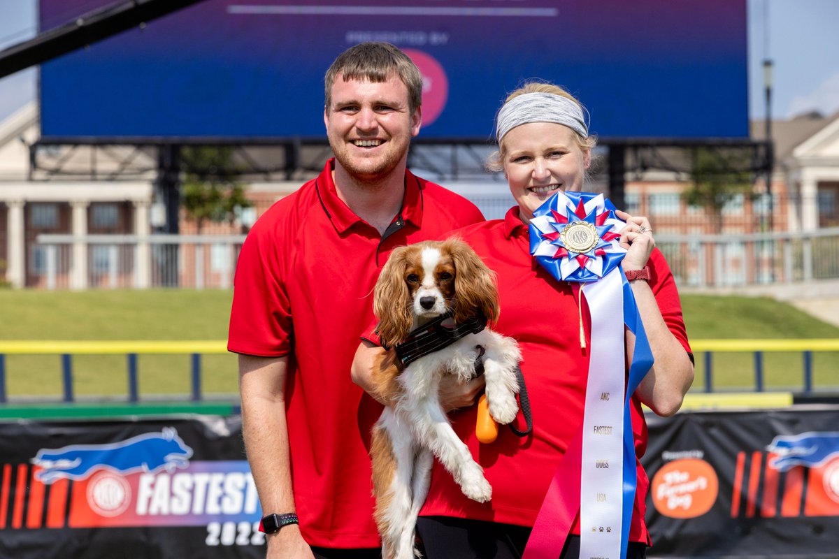 akcdoglovers's tweet photo. Our winner of the Cavalier King Charles Spaniel heat is ... Ruby! 🏆

Stay tuned to find out who will be crowned the fastest dog of them all! #ThisisAKC #AKConABC https://t.co/Q6VFAplVzC