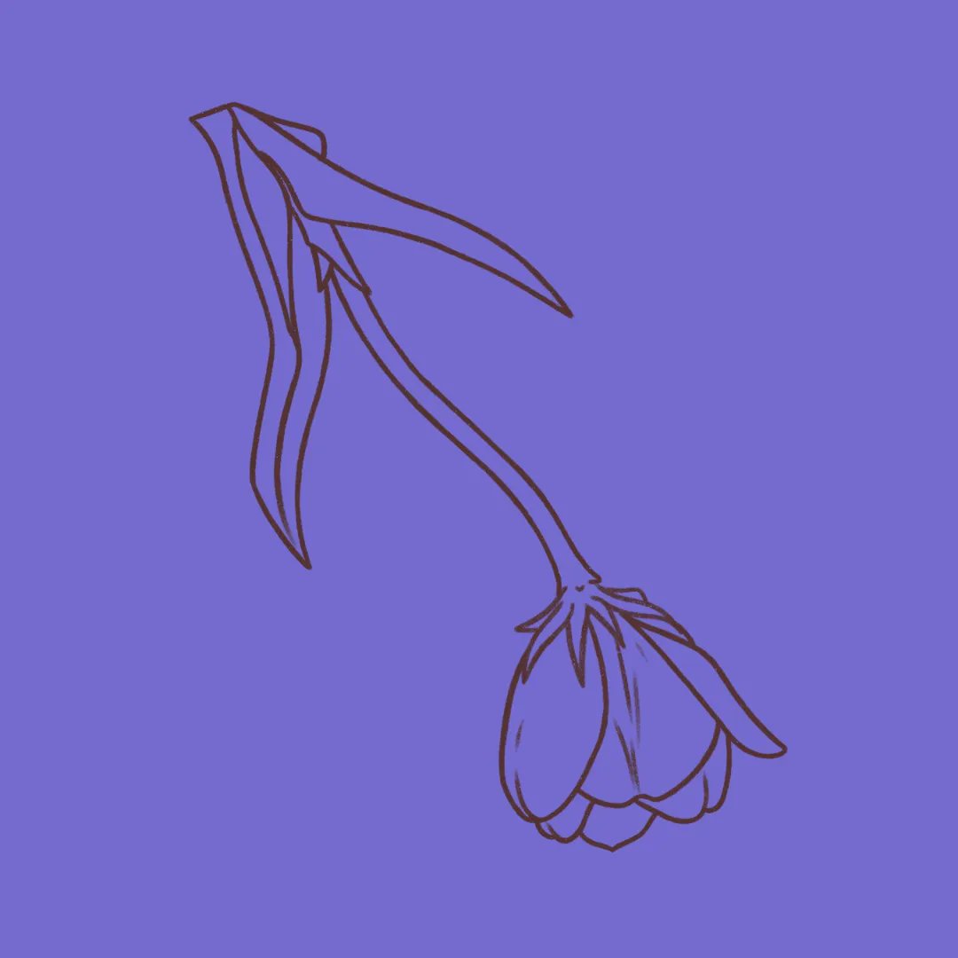 LTH_art's tweet photo. 🌷🌷🌷

I've been getting a lot of sketches done for next month + I'm super happy with how they're turning out, can't wait to share them with you guys ^^

#tulip #summerart #flower #illustrator #artist https://t.co/R3LHwzxQRy