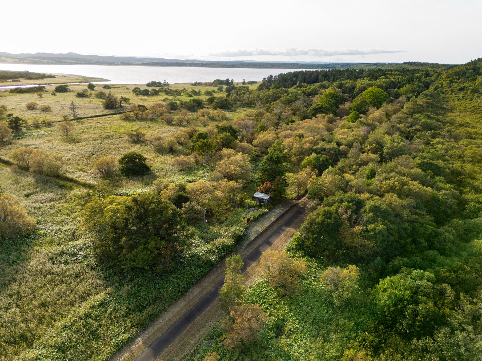 mimizuku廃墟街歩き on Twitter 