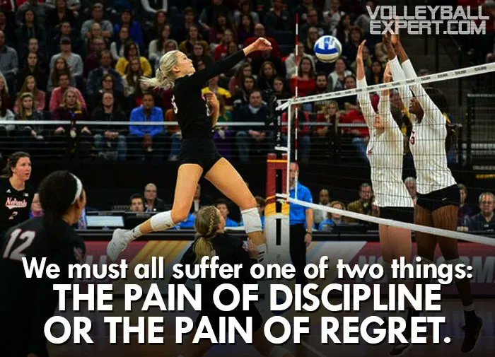 Volleyball Expert tweet media