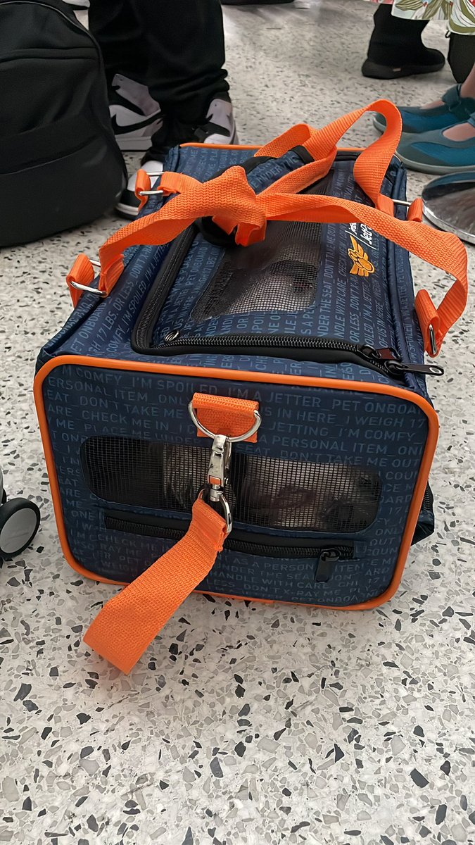 This is animal abuse <a href="/JetBlue/">JetBlue</a> <a href="/peta/">PETA</a>