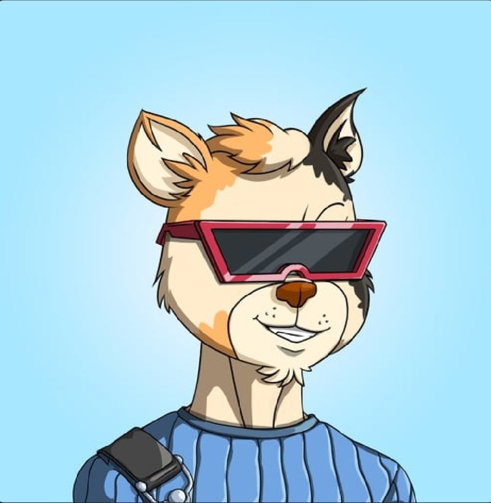 #radcats about to take over!! 🚀🌙 #LFR <a href="/RadCatsNFT/">RadCats™️</a>