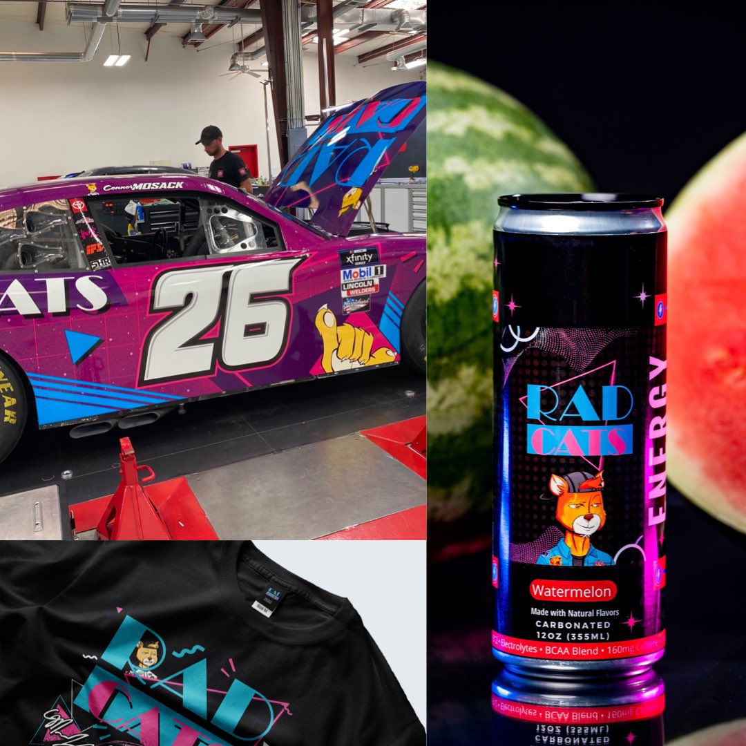 <a href="/RadCatsNFT/">RadCats™️</a> #RadCats amazing idea and too many irl happening with them don’t sleeep on this gem guys !!