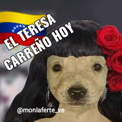 monlaferte_ve's tweet photo. 🇻🇪🙌🏻💛💙❤️🕯️🎵 EL TERESA CARREÑO HOY #CARACAS #VENEZUELA #MONLAFERTE @monlaferte 

MON LAFERTE X VENEZUELA https://t.co/2PlMLc1CxV