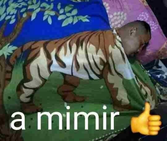 pelirrojohungry's tweet photo. a mimir 👍🏻 https://t.co/YrJQc5G75k