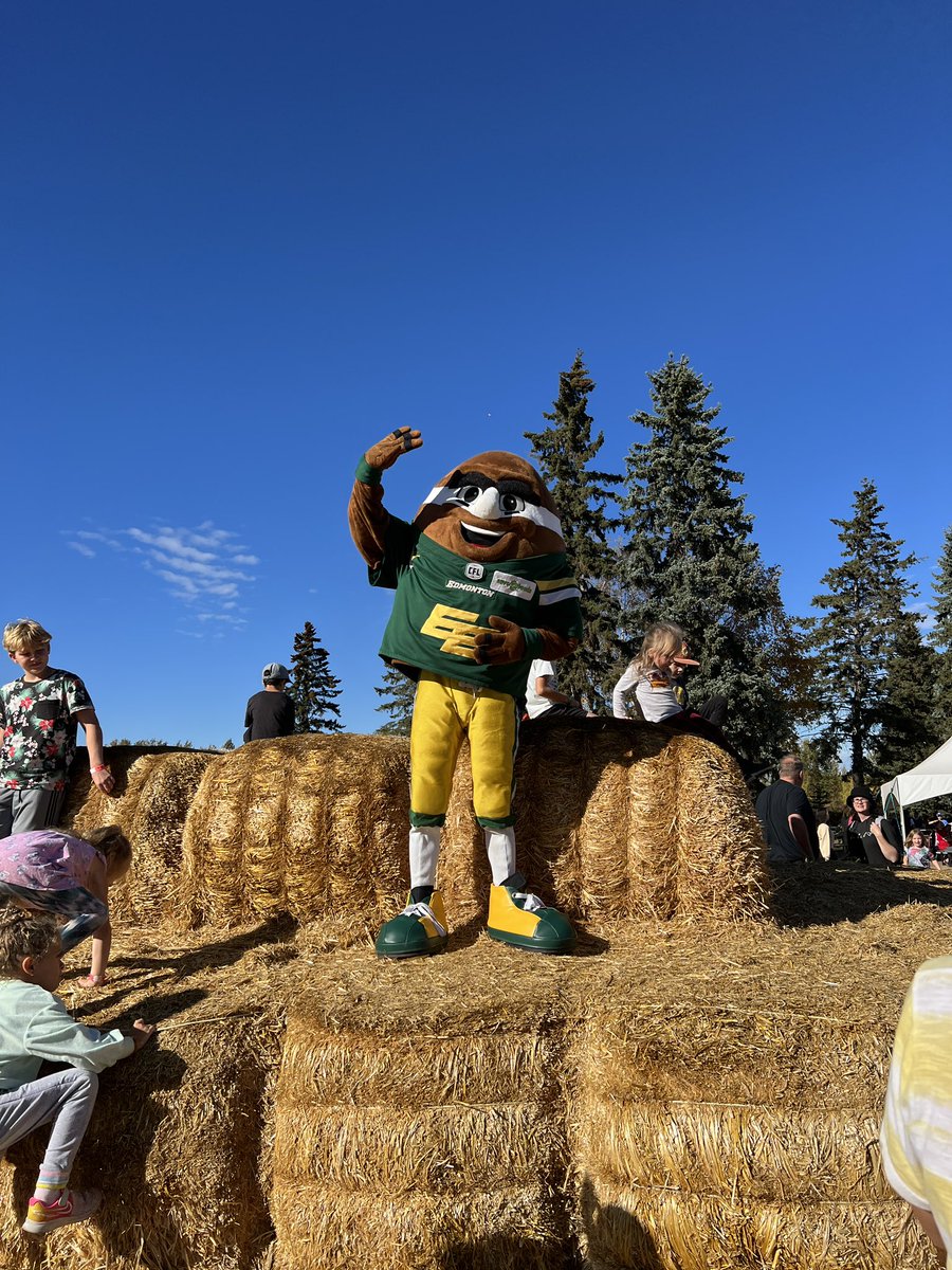 Punter is here!!!! 
<a href="/GoElks/">Edmonton Elks</a> #goelks #yegcornmaze