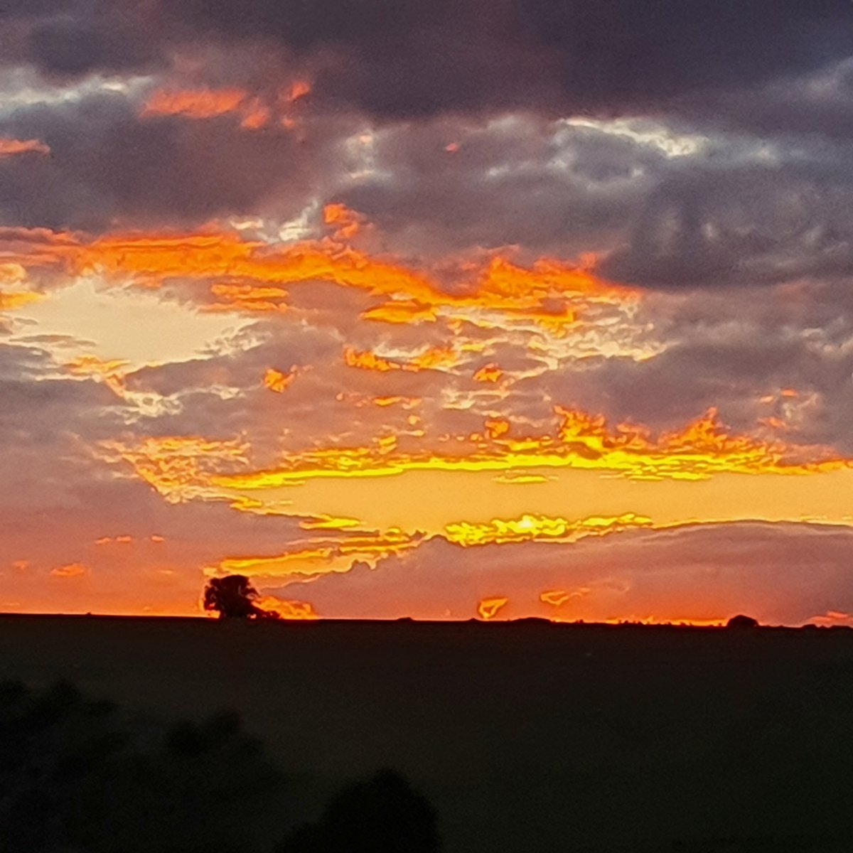 Sunset tonight above our house, pretty special. For all the current world chaos, nature still produces this.