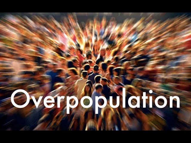 EnderstromEva's tweet photo. Overpopulation is the cause of all the evil that befalls us! That is why we have queues, quarrels, competition, unemployment, housing shortage, homelessness, loneliness, bullying, time pressure, conflicts, wars and pandemics. The more people - the less value each individual gets. https://t.co/hxMFmedQOe
