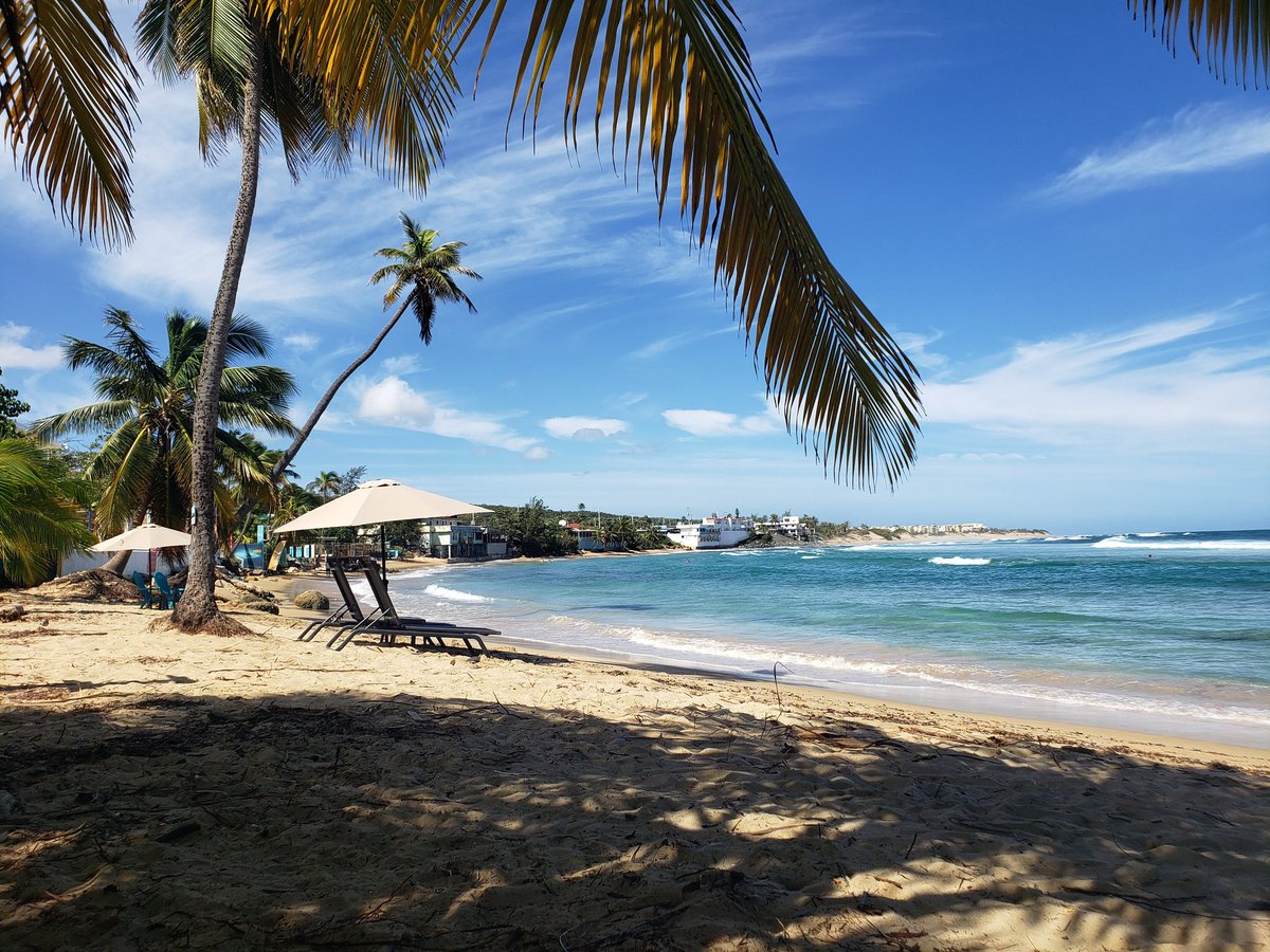 prJesusDavid's tweet photo. Recargando baterias en una de mis playas favoritas #Isabela #Jobos https://t.co/fiLVy8eJdg