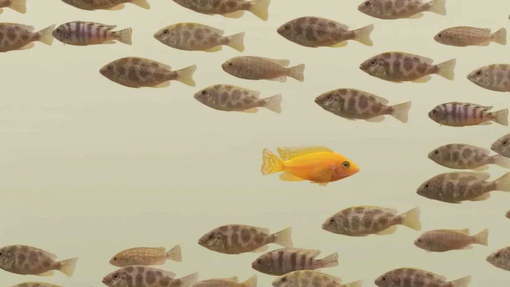 alignstaff's tweet image. If you are working on building your confidence, try out some of these phrases from @Inc.

You might be surprised at some, including “Can you help me?”  buff.ly/2UiJYpi