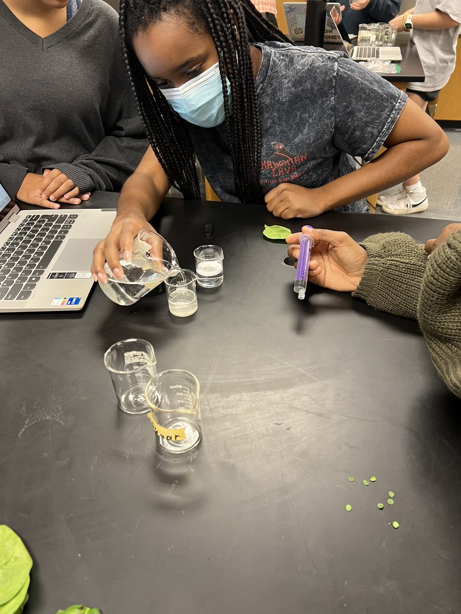 Zaina Hashmi tweet media