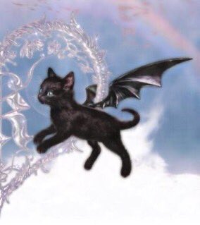 َ on X: matching pfp black cat white cat chrome aesthetic pretty angels  demons matching pfps profile pic material marekdavid   / X