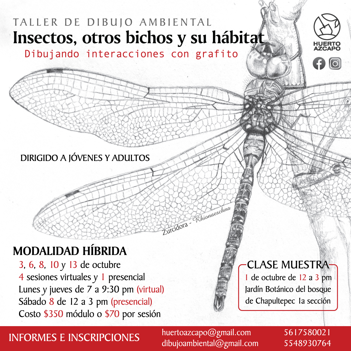 mussart's tweet photo. #Taller de #Dibujo: #Insectos, otros bichos y su hábitat. Dibujando interacciones con #grafito
✏️🖤🕷️✨
Sesión #Gratis: sáb 1 oct de 12 a 3 pm.
En el #Jardín #Botánico de #Chapultepec, #CDMX.
Más info👉✉️: huertoazcapo@gmail.com 
🌼🐝🌾🐞🐜 https://t.co/7x96msj9gM