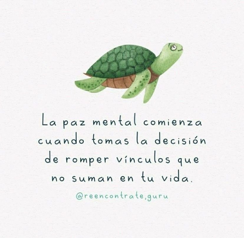 CatAguilarG's tweet photo. https://t.co/qE9Ynai4ho