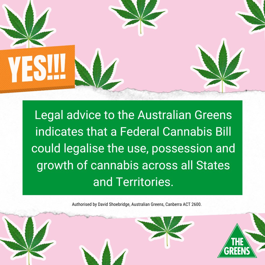David Shoebridge tweet media
