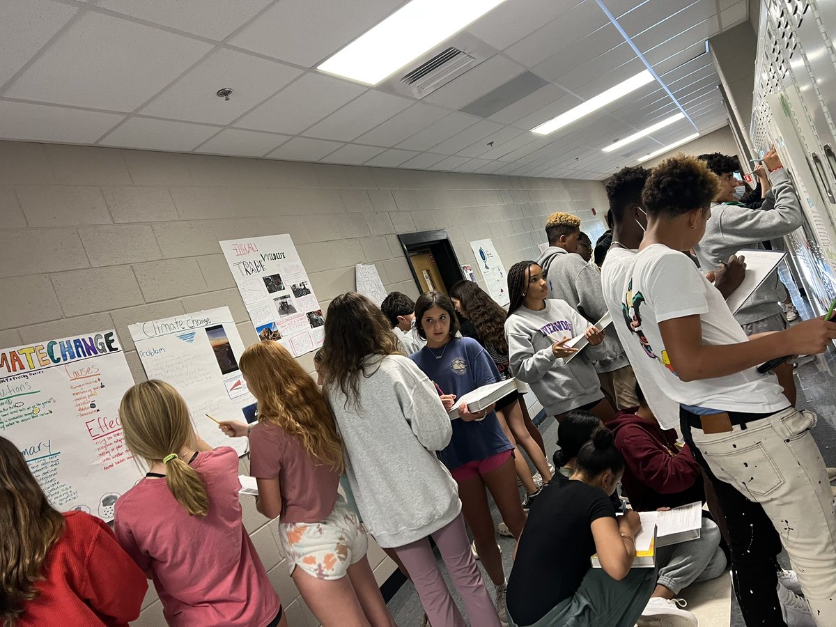 Zaina Hashmi tweet media