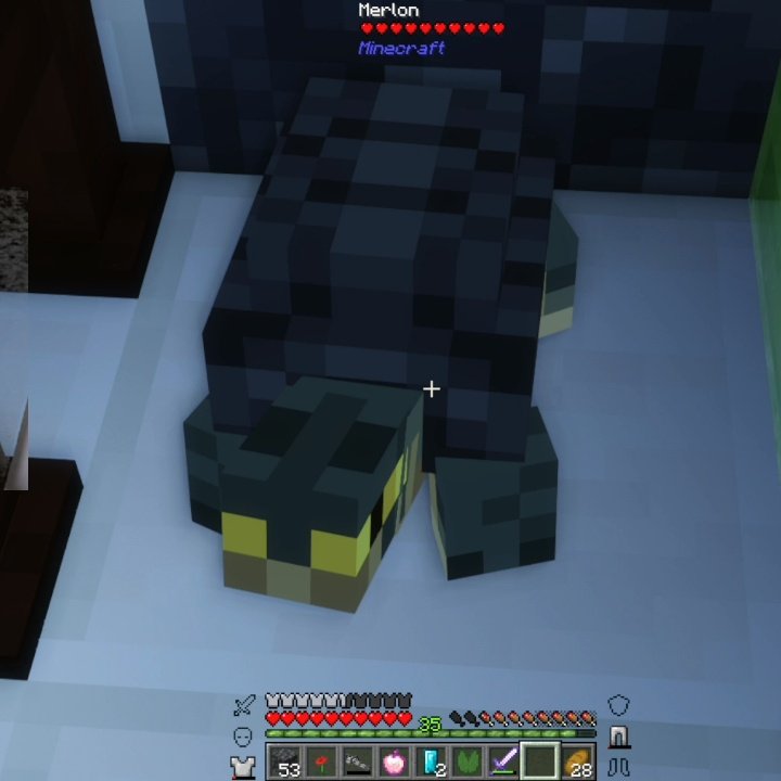 silkverrr's tweet photo. vuelta alto mi merlon vegetta, no te tocaba carnal 😔 #quackity https://t.co/XsHQtuOqpI