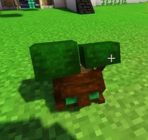 lxquckdylss's tweet photo. Qué es verde quiere a quackity y está muerto https://t.co/4ZGxmdFlJr