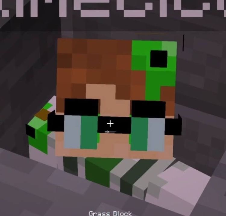 lxquckdylss's tweet photo. Qué es verde quiere a quackity y está muerto https://t.co/4ZGxmdFlJr