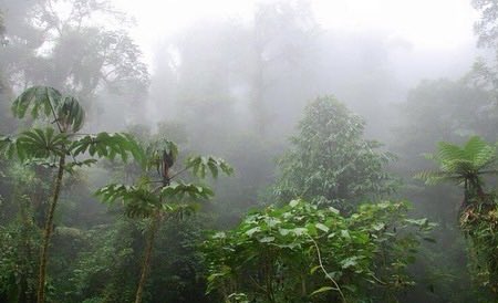 Mary Klayder tweet media