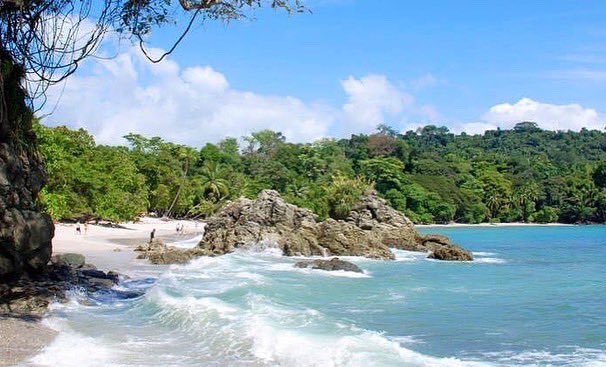 Mary Klayder tweet media