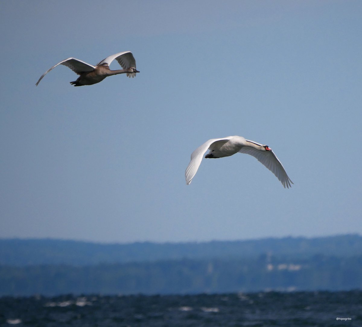 Francisco Rodriguez tweet media