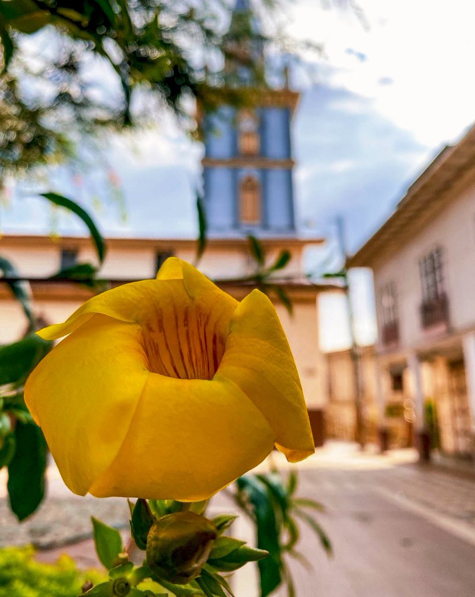 #Zaruma #Ecuador 
📸 christianjarac