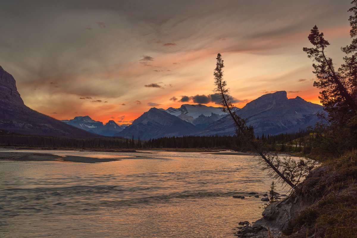 As the sun set on the North Saskatchewan River, Mount Wilson's silhouette was in contrast to the fire in the sky. #NikonCA #Nikon_Canada #780photographer #canadian #rockies #mountains #davidthompsoncountry #dtcountry <a href="/DTCountryAB/">DavidThompsonCountry</a> #peskett #reflection @DavidThompsonCountry