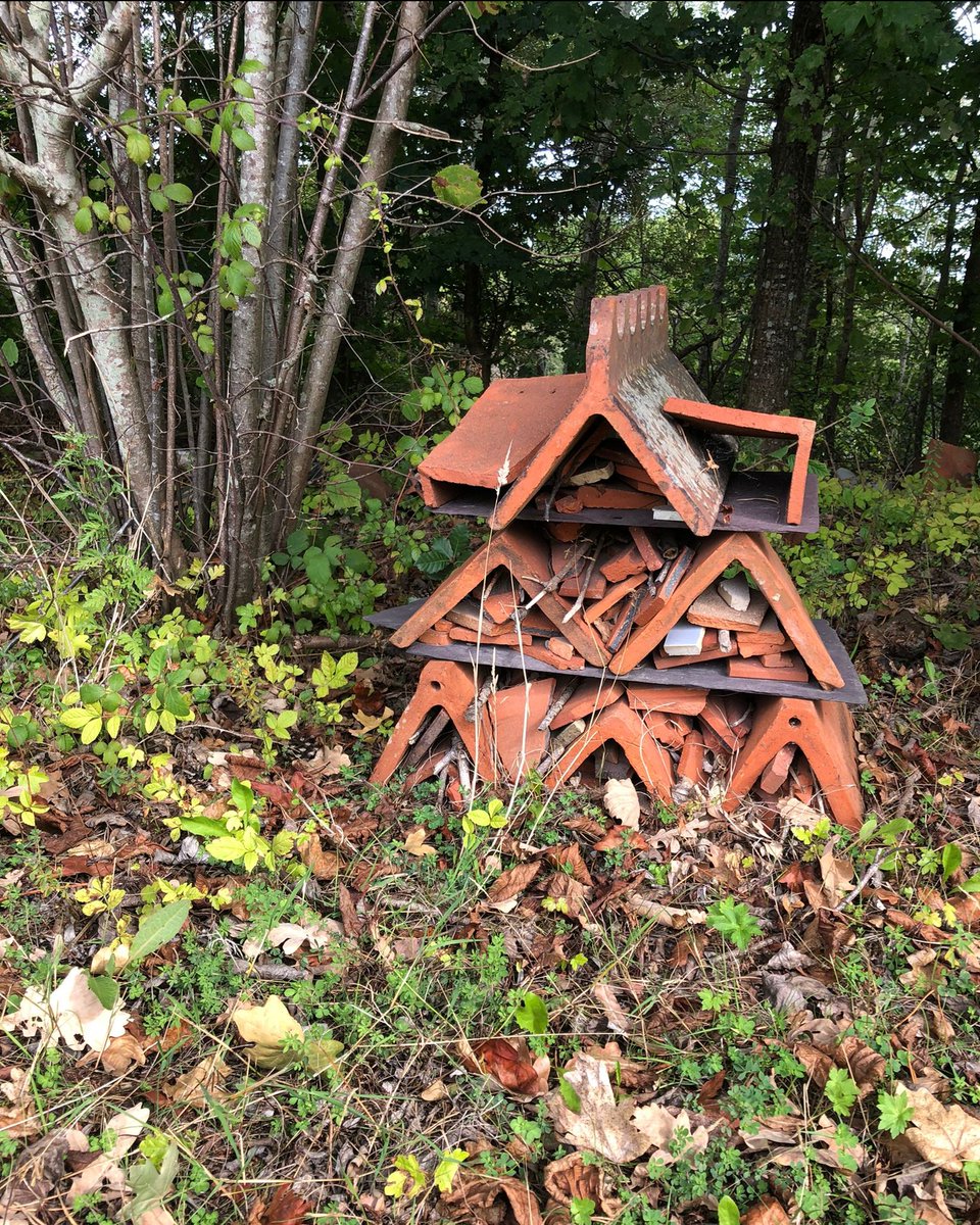 Recently spotted at @thebrickworksmuseum 'Bugingham Palace' providing a safe place for insect to shelter and breed! 

#insecthotel #bugs #insects #brickworksmuseum