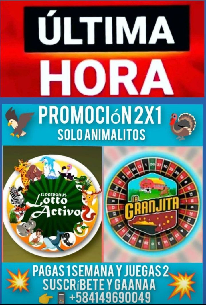 PabloJota27's tweet photo. ((( #BUENAPROMOCION ))) Ojo Pelao Que "ES POR SEPARADO" En La Imagen Está Toda La Información: INVIERTES POCO, JUEGAS POR MAS DIAS Y GANAS MUCHOS 🤑🤑🤑 Tu Decides!!!! 🎯👉📱+584149690049 #PROMOCIONREGALO FIN DE MES 💪💪💪💪 #SUSCRIBETE Y #GAANAA 💥💥💥💥💥💥 https://t.co/brUTCU6MTU