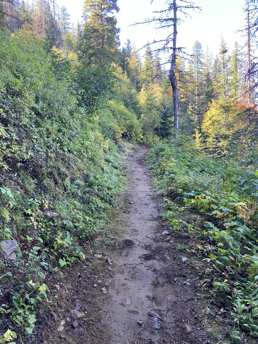 DrMcXursion's tweet photo. Some of the best downhill riding in the NW #onlyatsilver. Only one weekend left, check it out if you havenโt already. https://t.co/oU9jzPRqOX