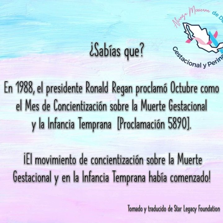 Alianza Mexicana de Duelo Gestacional y Perinatal tweet media