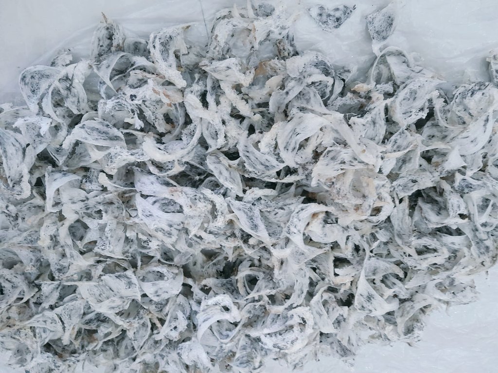 Benz41808398's tweet photo. BirdNest https://t.co/nRJeI5NUaW