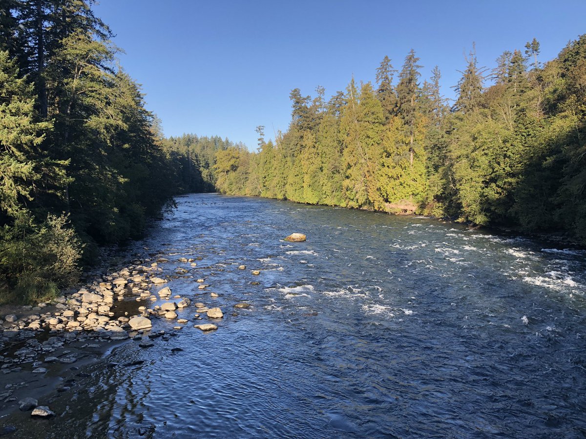 SWatson_BCH's tweet photo. #BCRiversDay and thinking about the four hydroelectric watersheds on Vancouver Island. Balancing fish habitat, domestic water supply, power generation, recreation and flood risk management. https://t.co/AGQAtkxhuE