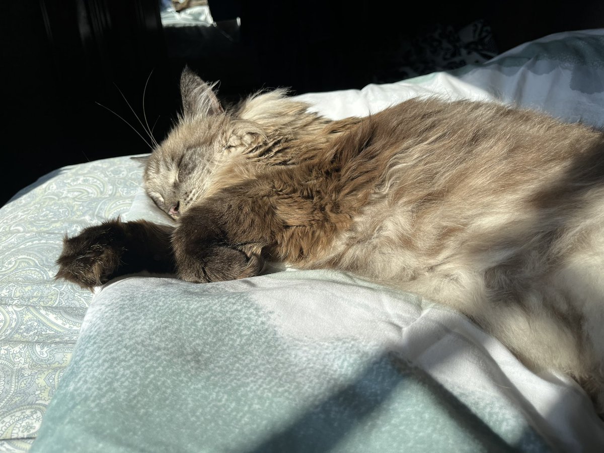 dootybooty143's tweet photo. Can we make this hashtag popular?
#SunbathingSunday https://t.co/XMYgZHyzuq