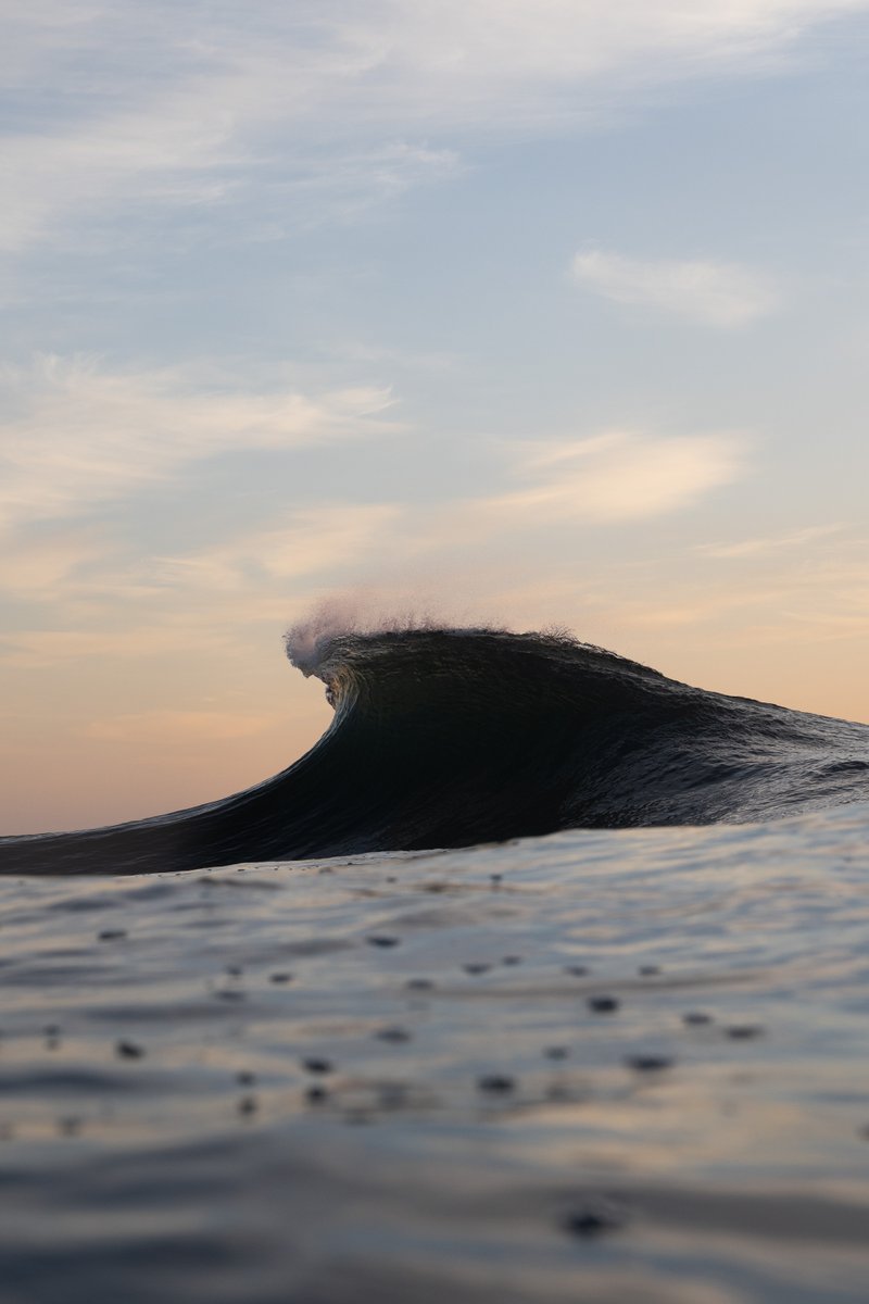 Ryan Pernofski tweet media