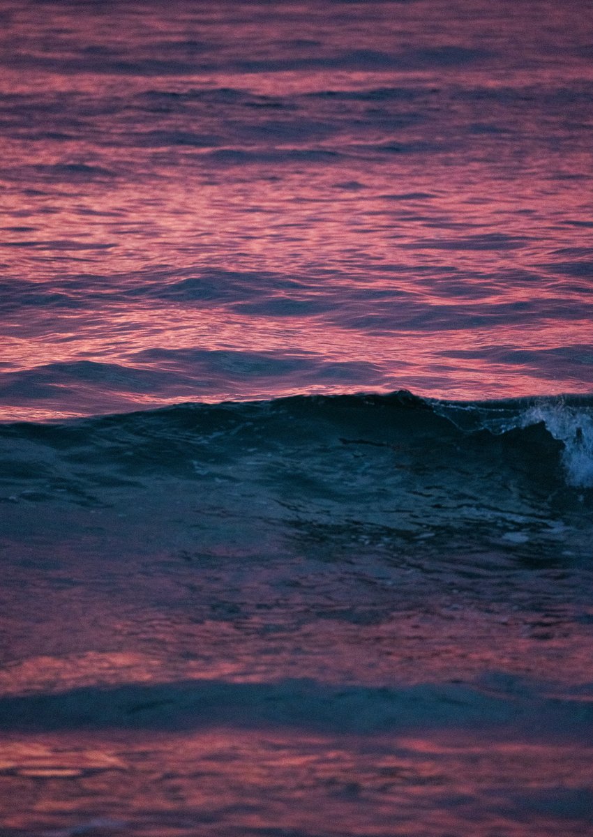 Ryan Pernofski tweet media