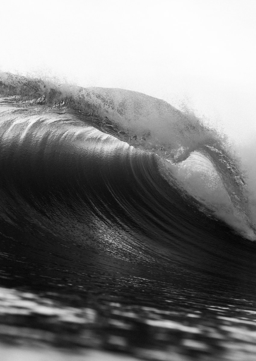 Ryan Pernofski tweet media